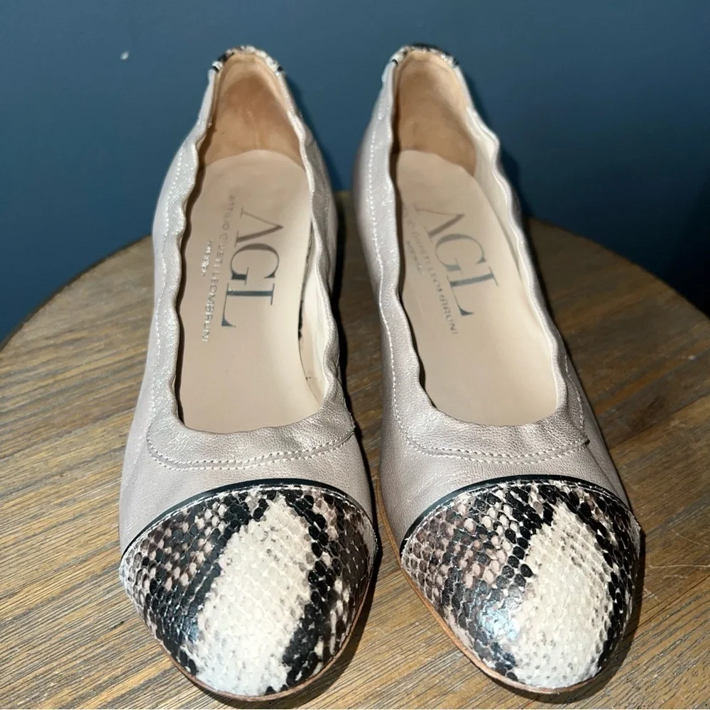 AGL Attilio Giusti Leombruni Wedge Pump